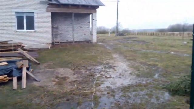 Вырываем молочный зуб. Сажаем сад. Известкуем пруд.