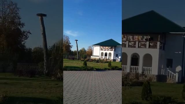 Барколабово. Женский монастырь смотреть онлайн