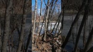 Весна 2023. Поездка на каракате.