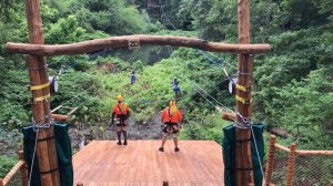 Bronx Zoo Treetop Adventure Zipline