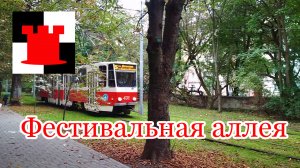 Почему так называется Фестивальная аллея в Калининграде?
