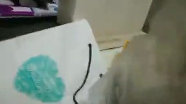 Подарки на работе к празднику осени смотреть онлайн