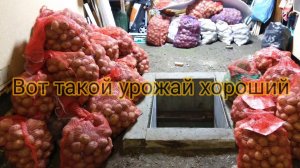 Часть вторая. Собираем урожай картошки.