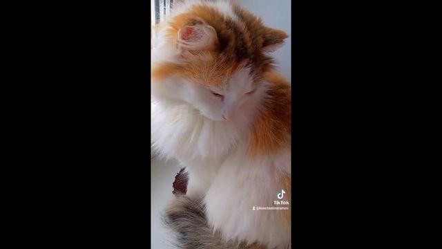 Вот смотрю на тебя