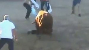 Опасные игры с быками