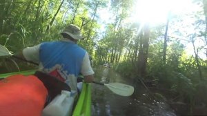 Сплав 2021 река Шоша