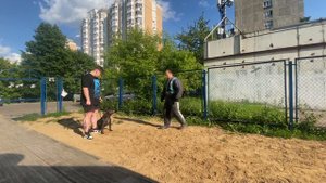 Команда фас питбуль
