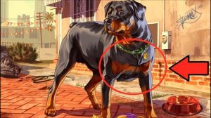 GTA 5 - СОБАКА ФРАНКЛИНА / ЧОП И ЗНАК БЭТМЕНА? [НЕЗАМЕЧЕННАЯ ПАСХАЛКА]