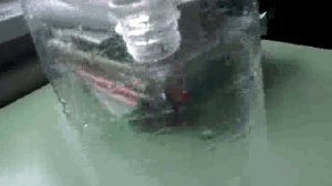 Ловля рыбы без удочки и сети.