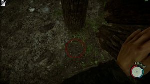 ТЕБЕ ТОЧНО НУЖЕН ЭТОТ БАГ (ДЮП БРЕВЕН) В SONS OF THE FOREST