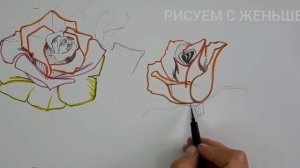 Урок Рисования Розы. Учимся рисовать розу Поэтапная и акварелью для новичков #рисование