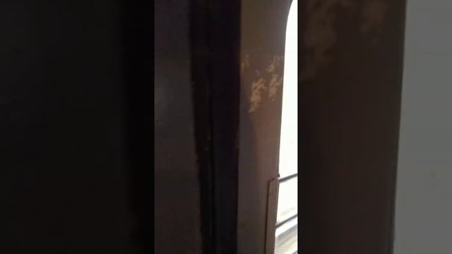 13.10.2019.Еду на работу.Станция Железнодорожный.Жду электричку.20-ый рабочий день.Новая серия. смотреть онлайн