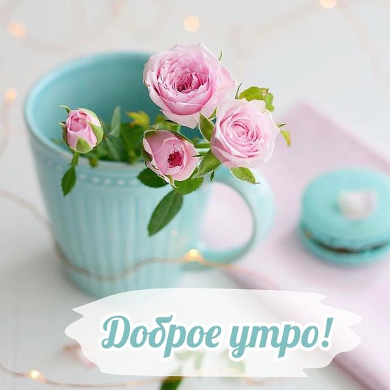 Доброе Утро! Желаю встретить этот день с улыбкой