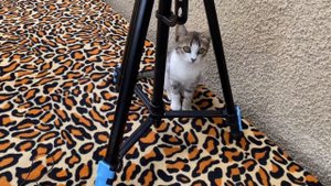 Куриные ножки в казане