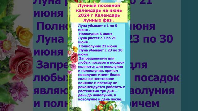 Посевной календарь огородника,лунные фазы на июнь 2024