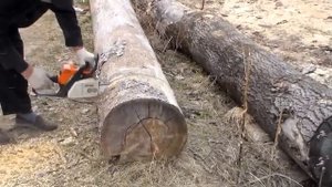 Демонстрация работы  STIHL MS 180 "16"(Demonstration of STIHL MS 180 "16")