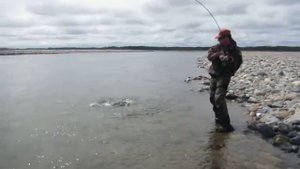 Рыбалка в Магадане на реке Яна 2015