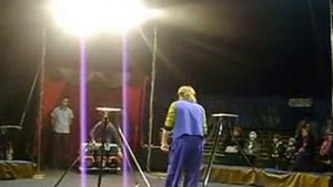 Выступление кошек в цирке