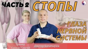 Здоровые стопы. Какие упражнения помогут укрепить стопу и ПОЧЕМУ это так важно? ЧАСТЬ 2 УПРАЖНЕНИЯ