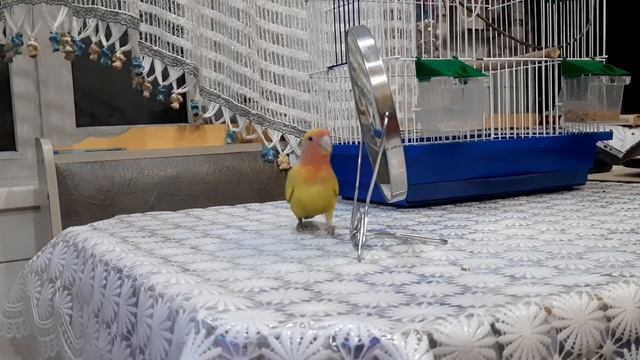 Знакомство с самим собой. смотреть онлайн