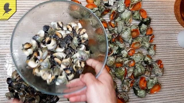 Рецепт как вкусно приготовить рапана/готовим 50 рапанов #2022 смотреть онлайн