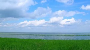 Заповедное Оренбуржье