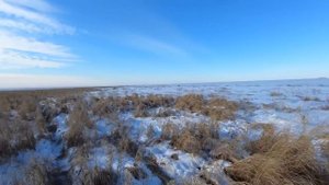 Охота на фазана в Амурской области. Втроем дали жару петухам.