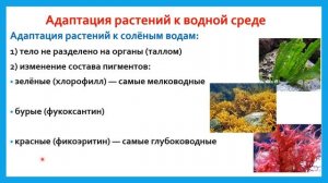 5 класс - Биология - Различия водной среды жизни по составу растворенных веществ - 17.04.2020