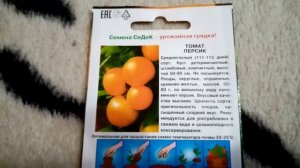 Томат "ПЕРСИК" . Мои ЛЮБИМЫЕ СОРТА. 16.01.2020г.