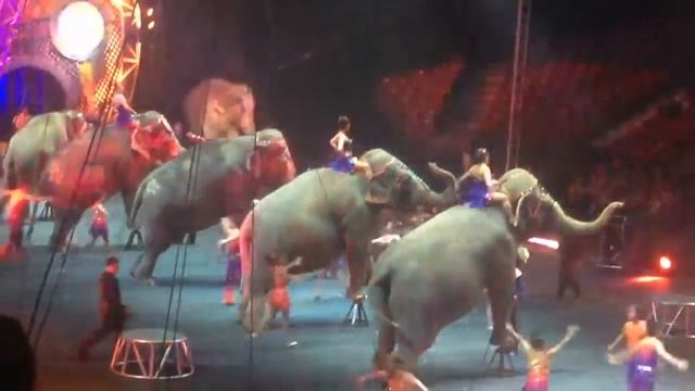 Вот что значит оперативность!И праздник прожолжается! смотреть онлайн