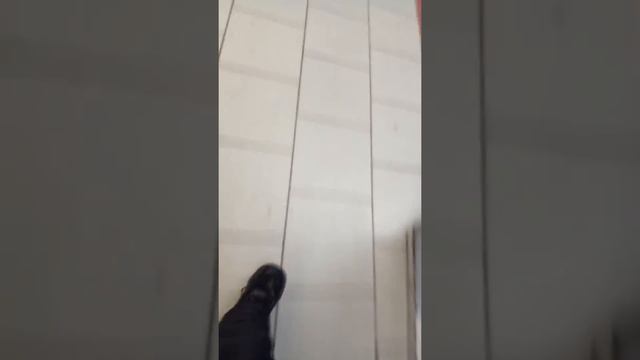 что можно купить в пятёрочке +бонус смотреть онлайн