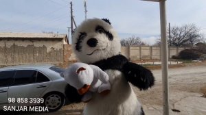 #Конибодом_2022