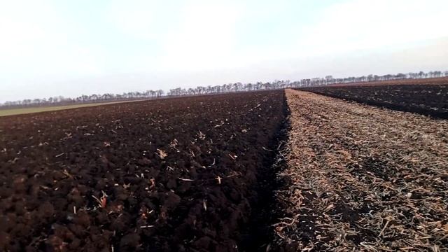 Допахали кукурузу! Было вовсе не легко. смотреть онлайн