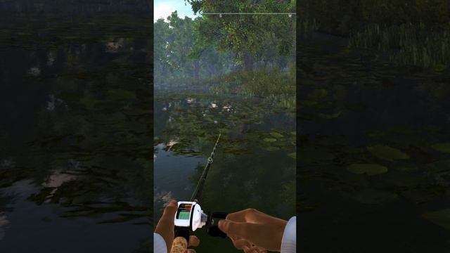 Fishing planet game PC how to catch a green frog easily 🙂