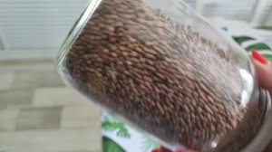 ЧТО ТЕПЕРЬ ДЕЛАТЬ! МАМА ДОЛЖНА ПРИЙТИ К НИМ? Шиндр Мындр @ShindrMindr_Official