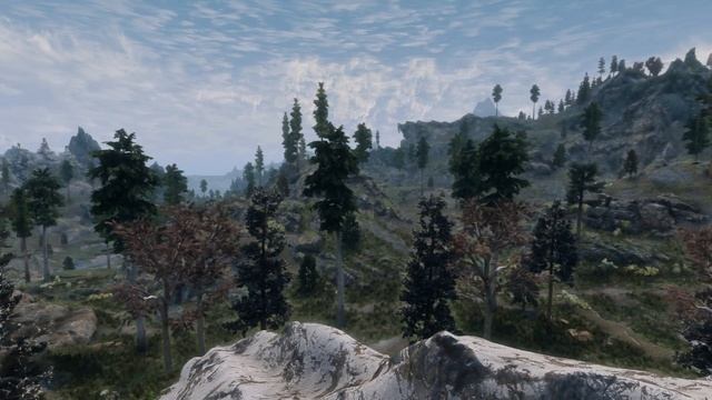 Skyrim SE: Dragon Fantasy Сборка модов(300+ модов)