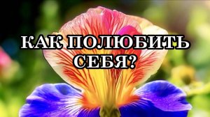 Извечный вопрос: «КАК ПОЛЮБИТЬ СЕБЯ»?