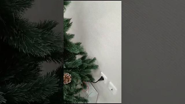 1000055119.mp4 смотреть онлайн