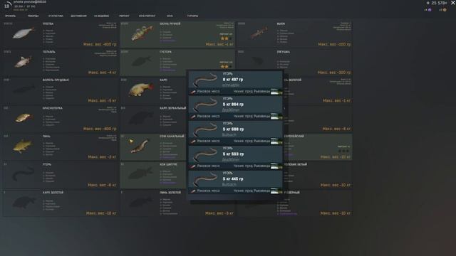 Fisher Online - Кои шигуре, карп #25