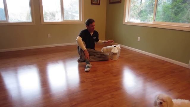 Dog Slipping Floor - Treatment Solution - SlipDoctors Floor Grip Review смотреть онлайн