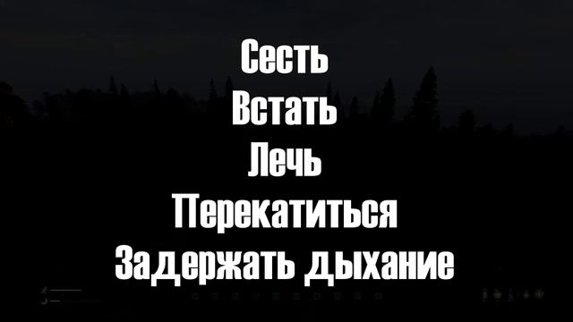 DayZ| Гайд для новичка.
