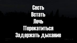 DayZ| Гайд для новичка.