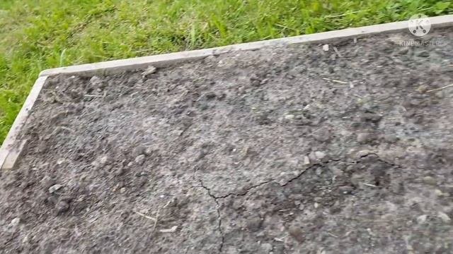 Посадка гороха. Два  способа посадки. Мой эксперимент.