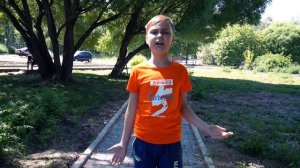 Аист на крыше