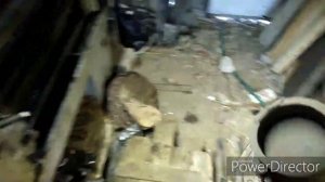 Усиленная ось на прицеп