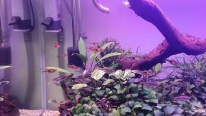 Медленный травник. 10 месяцев с момента запуска.