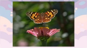 Играем с предлогами / Предлог НАД/ Развитие речи дошкольников/ Обучающее видео для детей