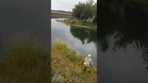 Рыбалка ЩУКА на реке Ик 2020