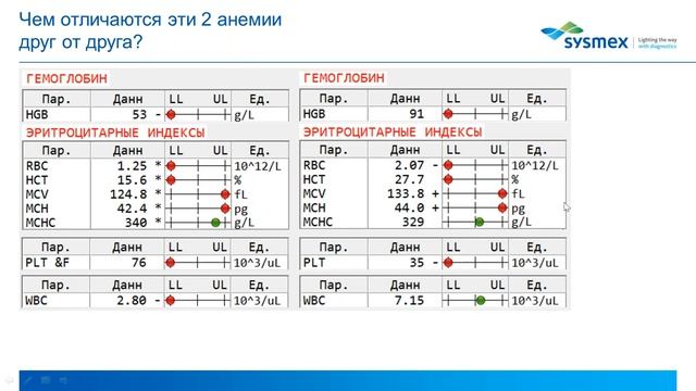 Школа современной гематологии Sysmex