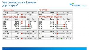 Школа современной гематологии Sysmex